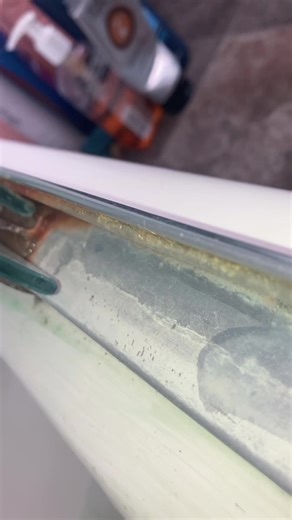 Effective Shower Cleaning with Bioclean Brushes