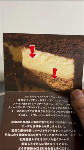 I tried the Chocolat Double Cheesecake by LeTao