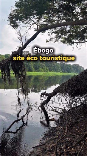𝗦𝗶𝘁𝗲 𝗲́𝗰𝗼 𝘁𝗼𝘂𝗿𝗶𝘀𝘁𝗶𝗾𝘂𝗲 𝗱’𝗘𝗯𝗼𝗴𝗼 🌱💦🍀🌳🏞️ La nature camerounaise dans toute sa splendeur. #visiterlecameroun #visitcameroun #tourismecameroun #ebogo