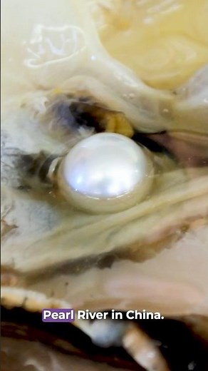 Master Herbalist Ron Teeguarden Talks About Pearl Health Benefits