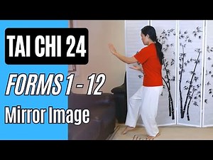 Tai Chi Yang Style 24 Form, Sequences 1-12 Mirror Image Up to High Pat on Horse