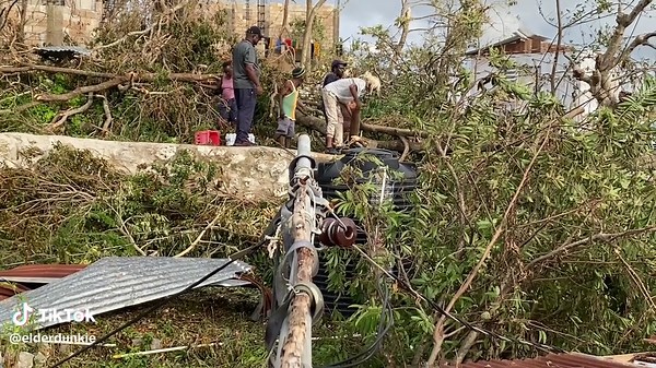 Logwood walk community service at work,