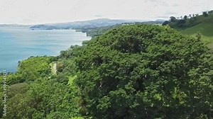 Real world avatar tree, Dinizia excelsa, overlooking lake Arenal, Costa rica, 360-shot, aerial views