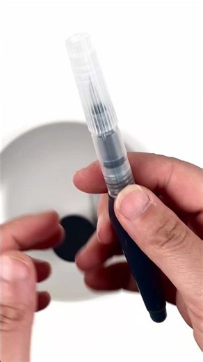 Fill a Water Brush with Walnut Ink! #painting