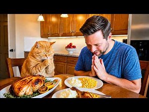 🤣 When Your Cat Starts Acting Exactly Like You! 😹🤣 My Cat Thinks He's Human! 2026