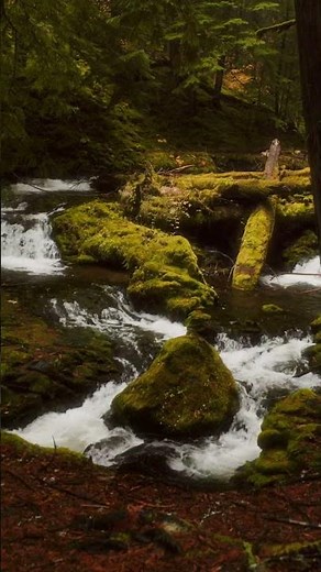 Gifford Pinchot National Forest