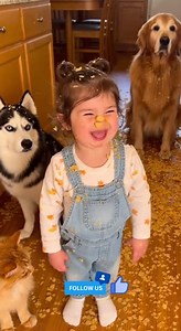 Kitchen chaos! And guess who they blame? The baby! 👶😅🐾🍝💥 😂 100% AI video for fun & laughs! Every scene is digitally created — no real animals, babies, or people. 🐾 Enjoy and share! #AIreel #AIfunny #AIanimals #AIfun #CreativeAI #AIvideo #AImagic | The kitty show