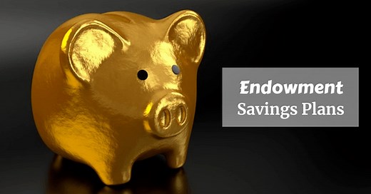 Endowment Insurance Savings Plans (Singapore): 2024's Guide