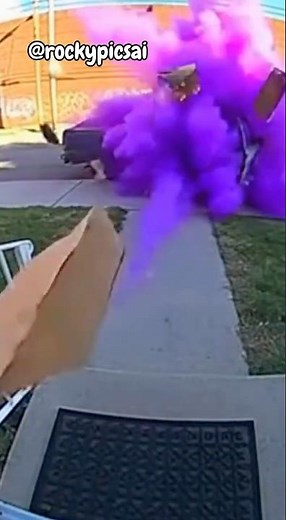 Doorbell Camera Captures Instant Karma for Porch Pirate 📸...