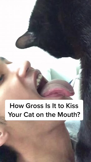 Is It Safe to Kiss Your Pets? Facts You Need to Know