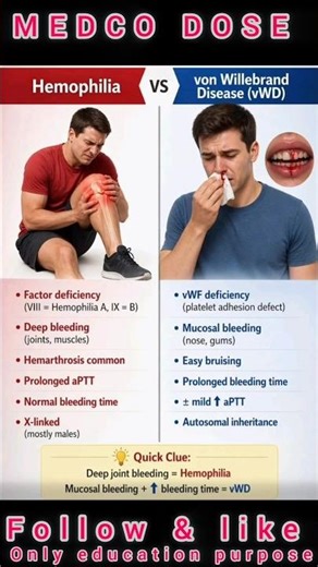 Homophilia VS von Willebrand Disease (vWD) #healthcare #ytshorts #youtubefeed #biology #trending