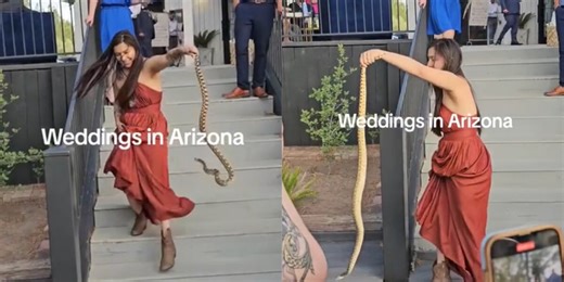 Brave bridesmaid moves snake away from wedding guests