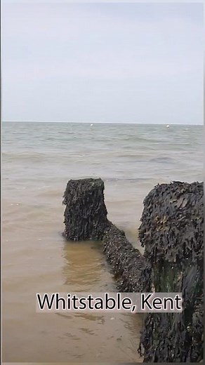 Peaceful Seaside Moments-Whitstable, Kents