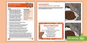 Kindergarten Hibernating Bears Science Experiment & Activities