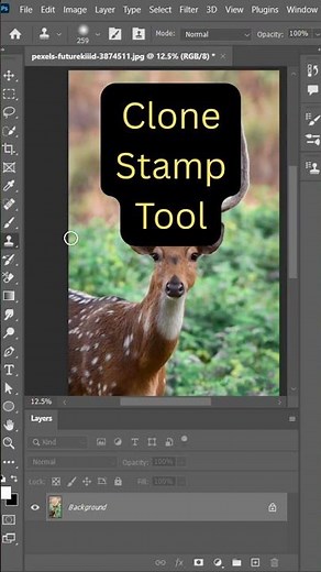 Photoshop Tips - 20 How to use Clone Stamp Tool in Photoshop #editing #photoshop #hacks
