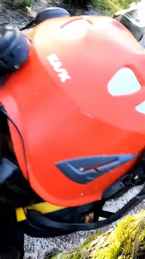 Throwing timber, stacking progress 🪵 #chainsaw #asmr | Guilty of treeson