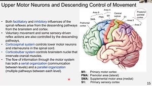 Introduction to Motor Systems