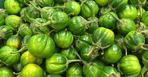 Jiló não é vilão: 5 jeitos de preparar sem amargar a refeição