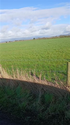 out looking at the fields #lancashire #farming #spring