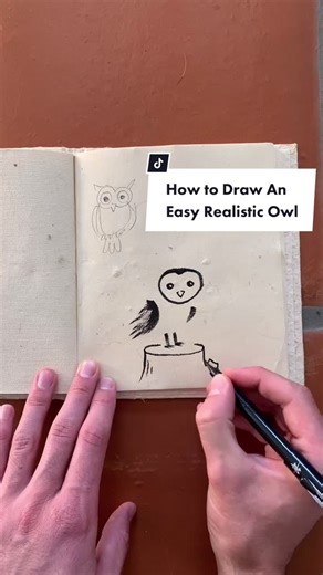 How to Draw an Easy Realistic Barn Owl Tutorial