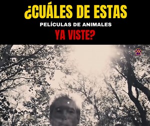 1.8K views · 28 reactions | Estas películas de animales no solo han recaudado millones en taquilla, sino que también han inspirado debates sobre conservación y el trato ético de nuestros compañeros de cuatro patas, aleteos y bigotes. Prepárate para redescubrir clásicos animados y documentales premiados que te harán reír, llorar y reflexionar sobre el mundo natural. #peliculas #curiosidades #oxitocinamagazine #animales #mascotas | Oxitocina Animal | Facebook