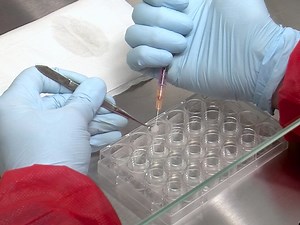 Bioengineering of Humanized Bone Marrow Microenvironments in Mouse and Their Visualization by Live Imaging