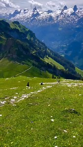 Move to Switzerland 🇨🇭 if you are eligible!!! ✨ What is a B Work Permit in Switzerland? ✨ The B permit is a residence & work permit for foreign nationals who plan to stay in Switzerland long-term (usually over 1 year). ⸻ 🔹 Eligibility • EU/EFTA citizens: Employment contract (12 months) or proof of financial means & insurance • Non-EU/EFTA citizens: Job offer employer must prove no Swiss/EU candidate available (quotas apply) ⸻ 🔹 Job Sectors in Demand ✅ IT & Engineering ✅ Healthcare & Pharmace