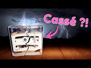 Le nid de mes fourmis se fissure (ça craint) ?! Formica fusca