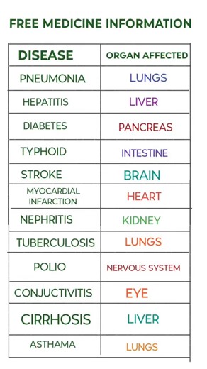 Disease & the Organ It Affects 🧠💡 Quick medical guide for students, pharmacists & health learners. Swipe/Save this post to revise anytime! Pneumonia → Lungs Hepatitis → Liver Diabetes → Pancreas Typhoid → Intestine Stroke → Brain Heart Attack → Heart Nephritis → Kidney Tuberculosis → Lungs Polio → Nervous System Conjunctivitis → Eye Cirrhosis → Liver Asthma → Lungs 📌 Follow @freemedicineinformation for daily medical & medicine updates. 📚 Save this for exams (NEET, Nursing, Pharmacy). 💬 Comm