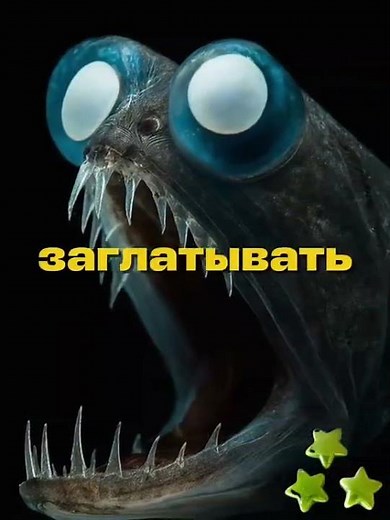 sea