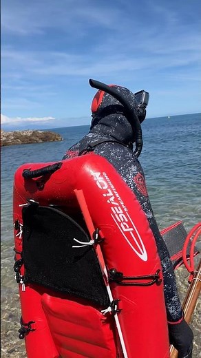 Matos chasse sous-marine #epsealon #pesca #spearfishing #chassesousmarine #fishing #pêche