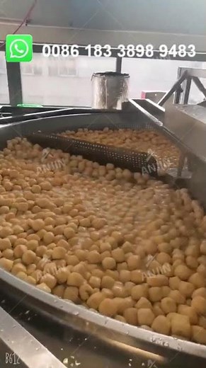 Automatic Frying Machine for Chips, Pastry & Peanuts Snack deep fryer