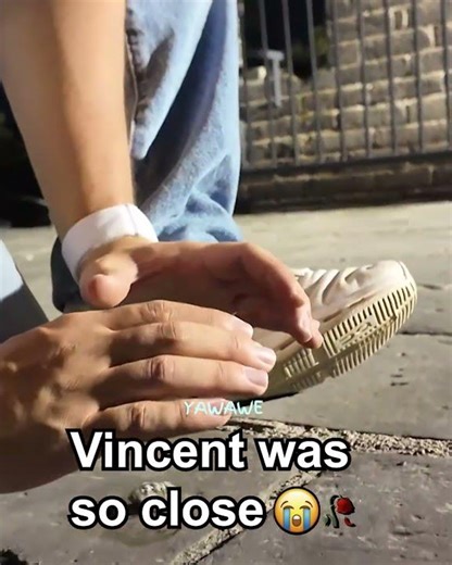 Vincent nearly catches a cicada