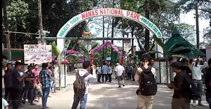 Manas National Park : Discovering The Wilderness And Biodiversity Of Assam
