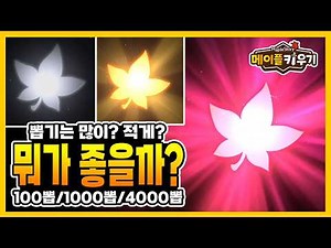 메이플 키우기 - 많이 뽑는 게 좋을까? 적게 뽑는 게 좋을까?