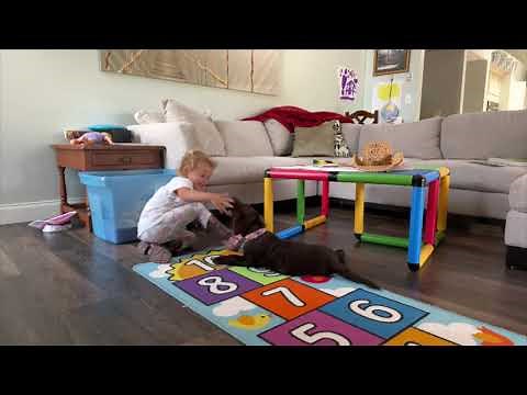 To Scruff or Not to Scruff a Pup | Correcting a Biting Puppy | How to Scruff a Pup