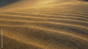 Sand storm in desert. Sand blowing over sand dunes in the wind
