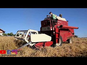 Barley Harvest 2019 with the IHC 321 combine harvester in action