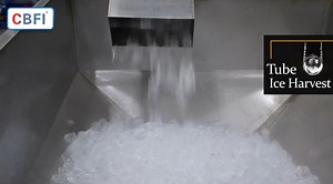 2.3K views · 42 reactions | 流 If you are an establishment preparing...