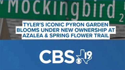 Tyler's iconic Pyron Garden blooms under new ownership at Azalea Trail