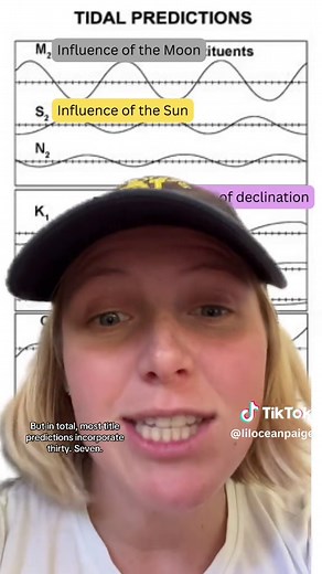 Exploring Tides: Understanding High and Low Tides