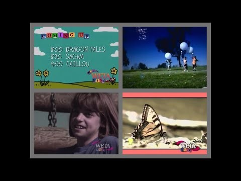 PBS Kids Program Break (2002 WETA) #31
