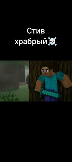 стив смелый ☠️ #майнкрафт