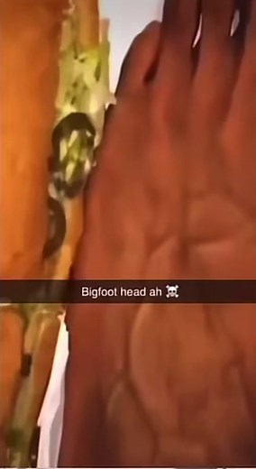 #feet #foot #sub #subway #dawgs #long #sandwich