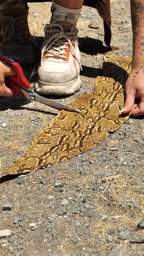 5-Minute Crafts | When the forest hands you snake skin, you craft footwear worthy of 5MC IG page🐍⚒️ #5mc #shoemakersofinstagram #diyinspo #shoesoftheday... | Instagram