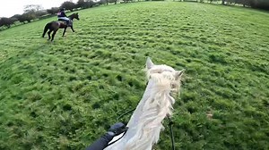 Fluffy Connie Hat Cam 📸 Cotswold Novice Team Chase 2023. What a fantastic run to end the season on for Tom, he ended up being lead horse today !! 😍😍😍 Such a brave boy 🥰 I couldn’t be prouder of him 🩷 he is so honest and had so much fun! I angled the Go Pro a little different today so it faced down more, you can see more of Tom and my hands but less of what’s in front of us. Do you guys prefer this way or angled more up the way I usually have it? Just so I know how to angle it tomorrow when