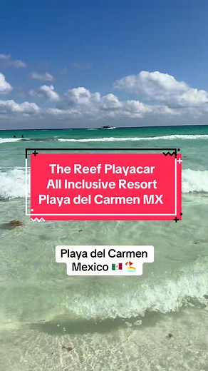 Before you book Playa del Carmen Mexico… read this first. This all inclusive resort surprised me. 🌴 Jungle style resort 🍹 Pool bars beach 🍽️ Food and drinks included 🏊‍♀️ Activities throughout the day And you’re minutes from Playa del Carmen’s famous 5th Avenue. Safe, walkable, and easy to explore. And the price? Around $130 per person per night. (Example: May 25 is $265 total for 2 people) Check the location tag to see prices and availability for the Reef Playacar. #tiktokgorisingstarsl2 #p