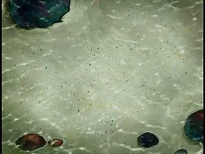 SpongeBob free to use blank title card and opening | SpongeBob Theme B