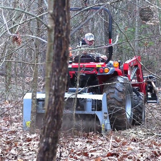 The POWER of a Compact Tractor PTO Mulcher #TractorWork #TractorAttachments #Mulcher #ForestryMulcher TYM North America | Tony's Tractor Adventure Homestead