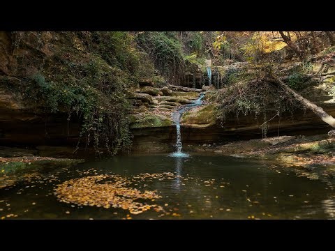 Autumn Forest Walk to ChodarehSar Waterfall | Kiasar Road, Mazandaran